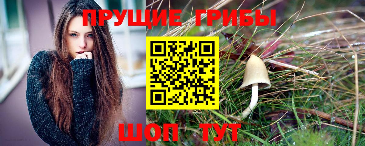 Галлюциногенные грибы Psilocybe  Вход с VPN  Котельники 
